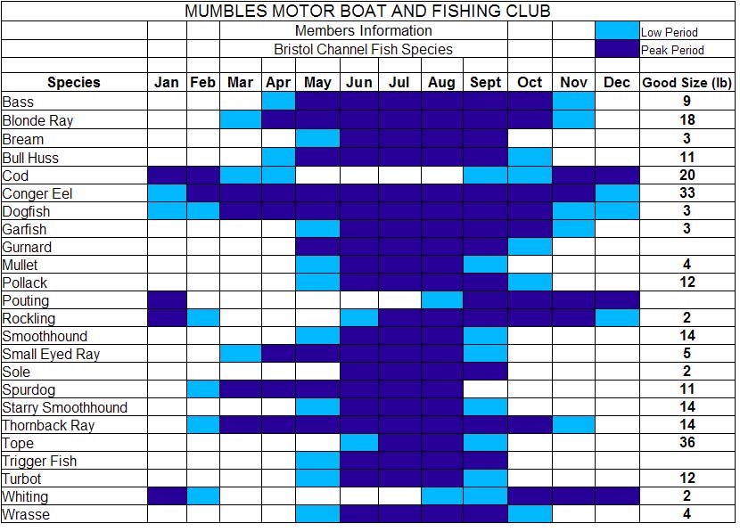 Mumbles Motor Boat Fishing Club Mumbles Motor Boat Fishing Club